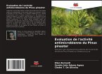 Évaluation de l'activité antimicrobienne du Pinus pinaster