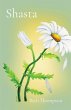 Shasta - Bild 1