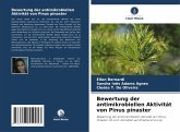 Bewertung der antimikrobiellen Aktivität von Pinus pinaster