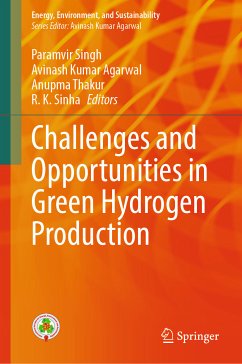 Challenges and Opportunities in Green Hydrogen Production (eBook, PDF)