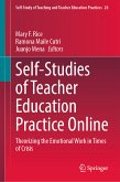 Self-Studies of Teacher Education Practice Online (eBook, PDF)