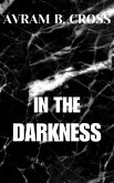 In The Darkness (eBook, ePUB) In The Darkness (eBook, ePUB)