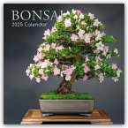 Bonsai - Bonsaibäume 2025 - 16-Monatskalender