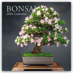 Bonsai - Bonsaibäume 2025 - 16-Monatskalender - Gifted Stationery Co. Ltd