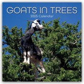 Goats in Trees - Ziegen auf Bäumen 2025 - 16-Monatskalender
