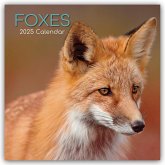 Foxes - Füchse 2025 - 16-Monatskalender
