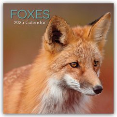 Foxes - Füchse 2025 - 16-Monatskalender - The Gifted Stationery Co. Ltd