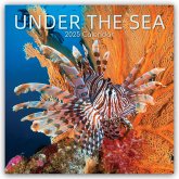 Unter the Sea - Tropische Fische 2025 - 12-Monatskalender