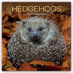 Hedgehogs - Igel 2025 - 16-Monatskalender - The Gifted Stationery Co. Ltd