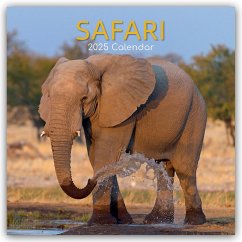 Safari 2025 - 16-Monatskalender - The Gifted Stationery Co. Ltd