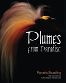 Plumes from Paradise Plumes from Paradise