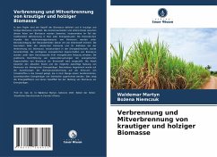 Verbrennung und Mitverbrennung von krautiger und holziger Biomasse - Martyn, Waldemar;Niemczuk, Bozena