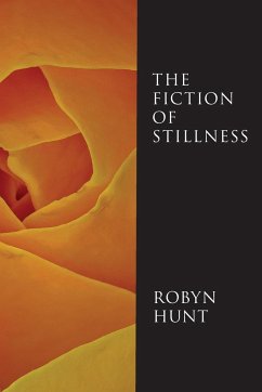The Fiction of Stillness - Hunt, Robyn