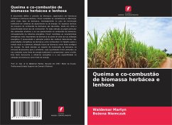 Cover Queima e co-combustão de biomassa herbácea e lenhosa