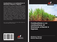 Combustione e co-combustione di biomasse erbacee e legnose - Martyn, Waldemar;Niemczuk, Bozena