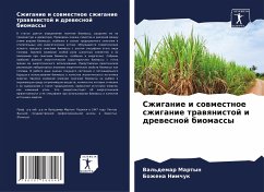 Szhiganie i sowmestnoe szhiganie trawqnistoj i drewesnoj biomassy - Martyn, Val'demar;Nimchuk, Bozhena