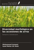 Diversidad morfológica en las accesiones de arroz