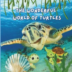The Wonderful World of Turtles - Jones, Mimi