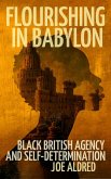 Flourishing in Babylon (eBook, ePUB)