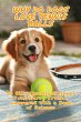 Why Do Dogs Love Tennis Balls: 20 Silly... - Bild 1