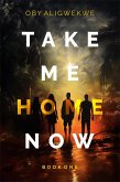 Take Me Home Now 1 (eBook, ePUB)