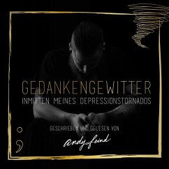 Gedankengewitter: Inmitten meines Depressionstornados (MP3-Download) - Feind, Andy