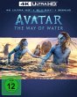 Avatar: The Way of Water (Dolby Vision... - Bild 1