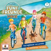 Fünf Freunde JUNIOR: Das Ungeheuer von Lorness / Die entführten Tierbabys