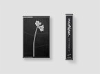 Dreamweaver (Cassette+Mp3)