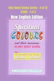 SPIRITUAL COLOURS and their meanings - In HOLY GHOST SCHOOL - New English Edition (eBook, ePUB)