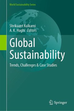 Global Sustainability (eBook, PDF)
