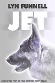 Jet (eBook, PDF)