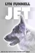 Jet (eBook, ePUB) - Bild 1