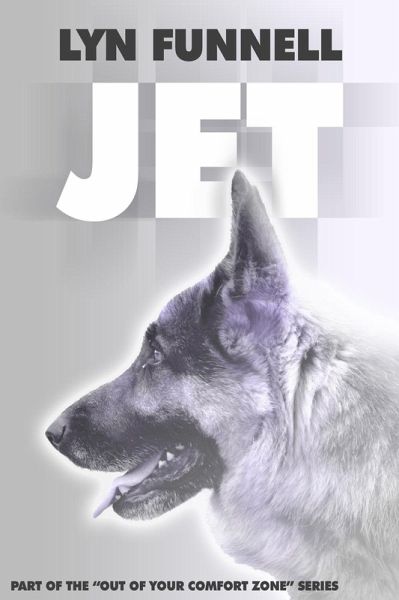 Jet (eBook, ePUB)