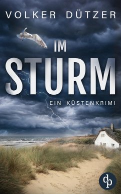 Im Sturm (eBook, ePUB) - Dützer, Volker