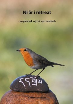 Cover Ni år i retreat (eBook, ePUB)