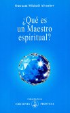 ¿Qué es un Maestro espiritual? (eBook, ePUB)