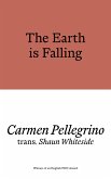 The Earth is Falling (eBook, ePUB)