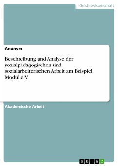 Beschreibung und Analyse der sozialpädagogischen und sozialarbeiterischen Arbeit am Beispiel Modul e.V. (eBook, PDF)