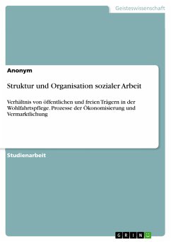 Struktur und Organisation sozialer Arbeit (eBook, PDF)