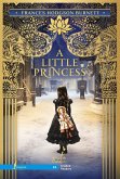 A Little Princess. A1 (eBook, ePUB)