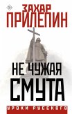 Ne chuzhaya smuta (eBook, ePUB)