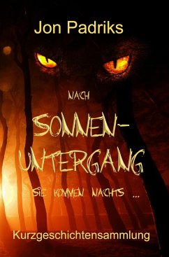 Cover Nach Sonnenuntergang (eBook, ePUB)