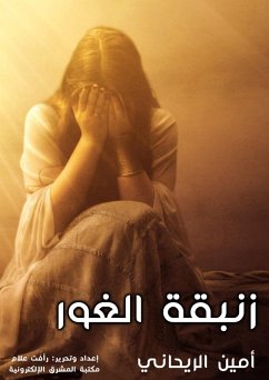 Overflow of Thought (Part Nine) (eBook, ePUB) - Amin, Ahmed