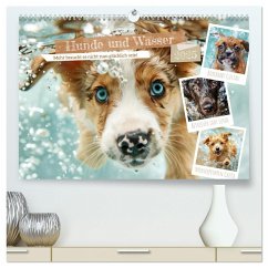 Hunde und Wasser (hochwertiger Premium Wandkalender 2025 DIN A2 quer), Kunstdruck in Hochglanz