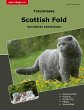 Traumrasse Scottish Fold - Bild 1