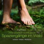 Spaziergänge Im Wald