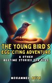 The Young Bird's Egg-citing Adventure (eBook, ePUB)