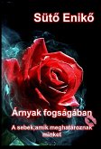 Árnyak fogságában (eBook, ePUB)