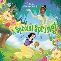 Cover A Special Spring! (Disney Princess)